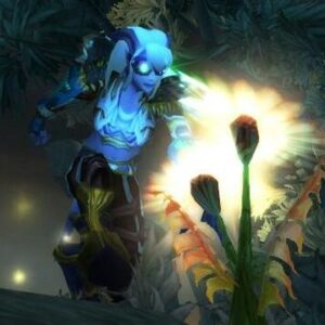 WoW TBC Herbalism Leveling Guide